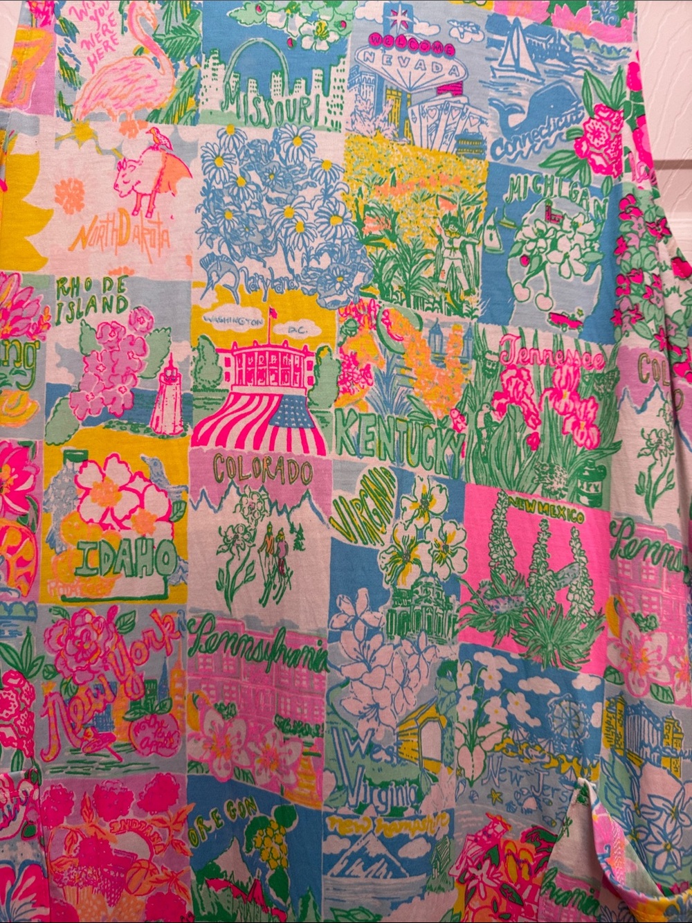 Colorful Lilly Pulitzer Kristin Flounce State Of Mind - Picture 5 of 7